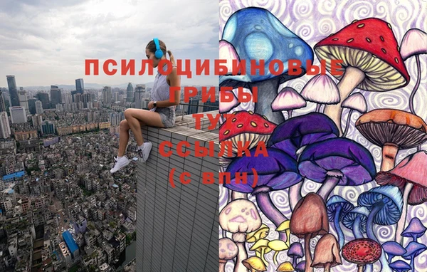 дурь Арсеньев