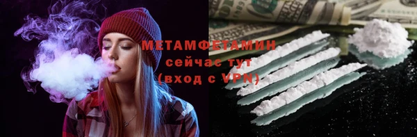шишки Абаза