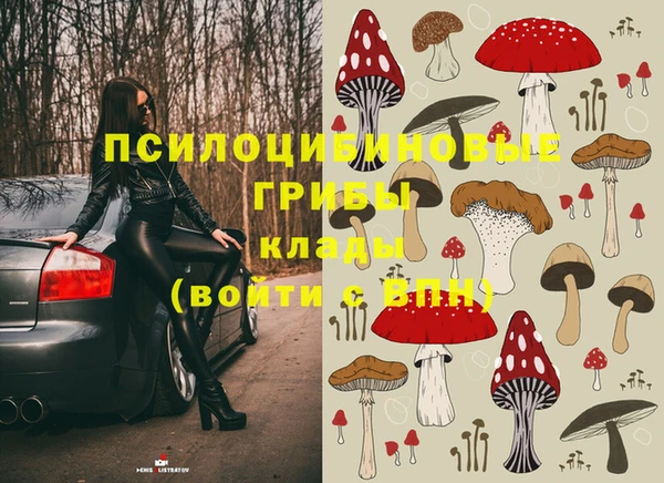 ПСИЛОЦИБИНОВЫЕ ГРИБЫ Армянск