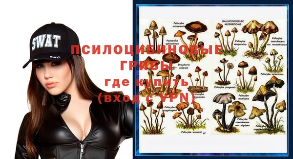ПСИЛОЦИБИНОВЫЕ ГРИБЫ Армянск