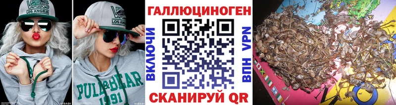 Галлюциногенные грибы Cubensis Ухта