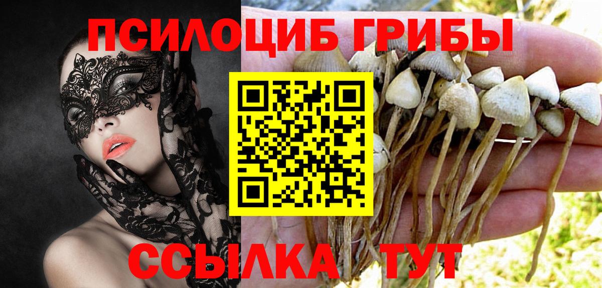 Галлюциногенные грибы мицелий Ухта