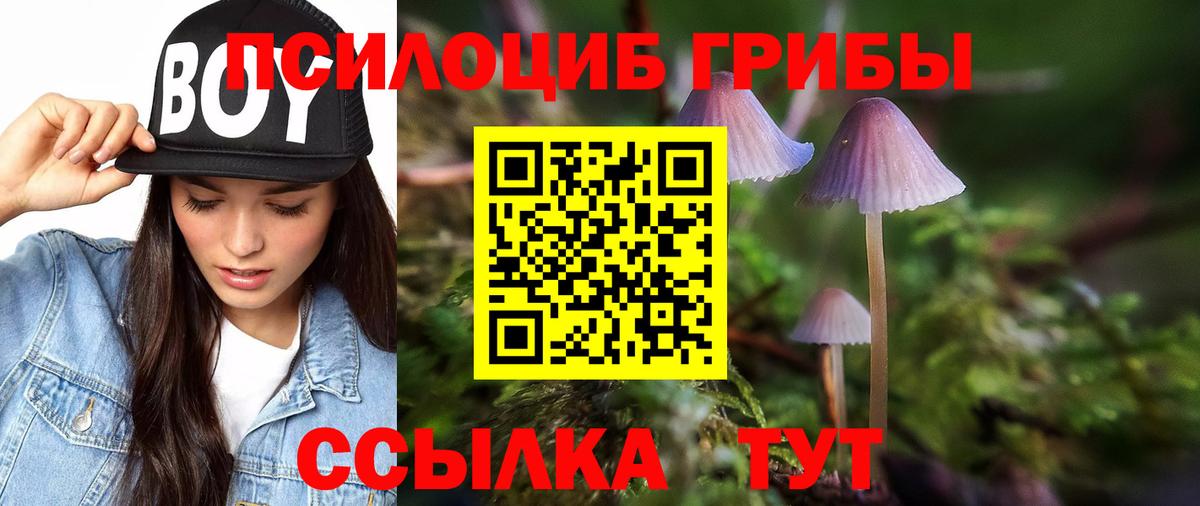 Псилоцибиновые грибы Psilocybine cubensis  Вход с VPN  Ухта  где продают   Галлюциногенные грибы Magic Shrooms 