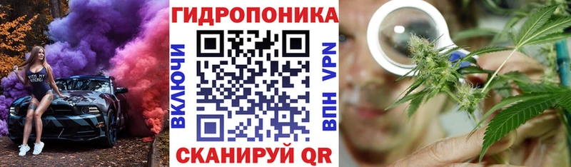 сколько стоит  Ухта  Бошки марихуана SATIVA & INDICA 
